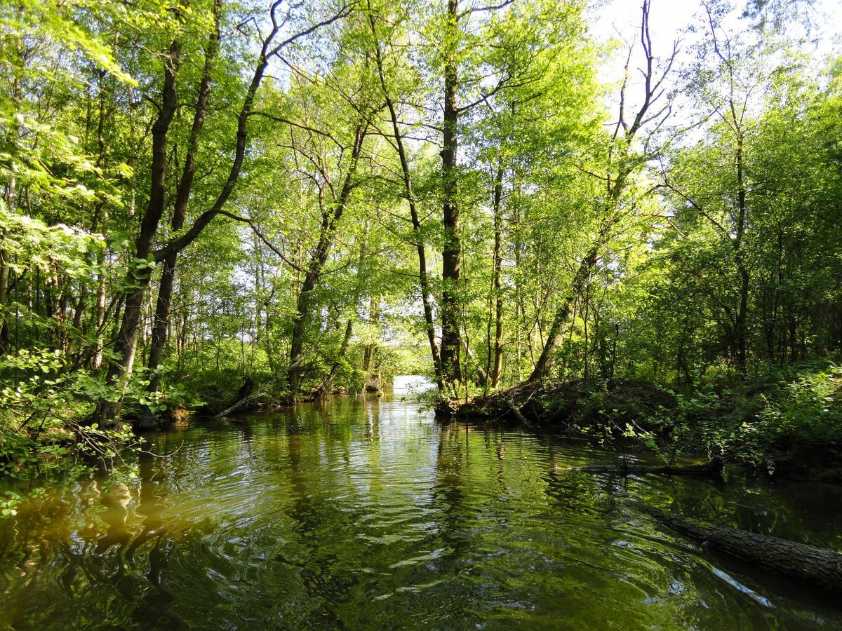 Ferienpark Am Glubigsee Wendisch Rietz Exteriör bild