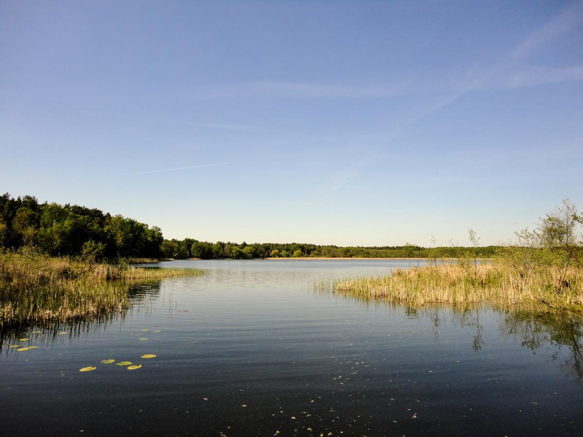 Ferienpark Am Glubigsee Wendisch Rietz Exteriör bild